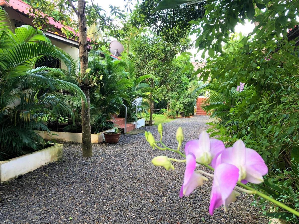Green Mango Bungalows กำปอต ภายนอก รูปภาพ